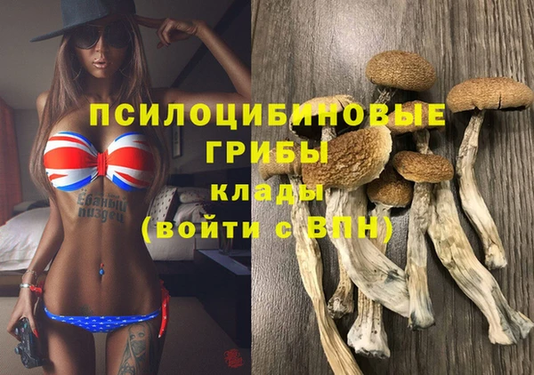 мет Абинск