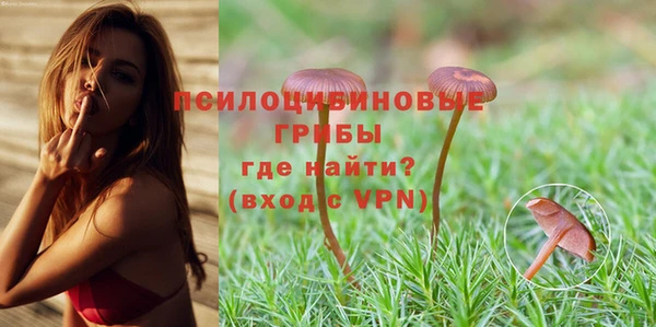 мет Абинск