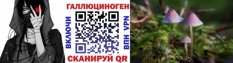 Галлюциногенные грибы Psilocybine cubensis Смоленск